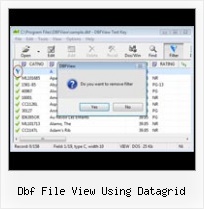 What Is The Format Of Dbf dbf file view using datagrid