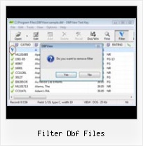 Dbf Win Editor filter dbf files