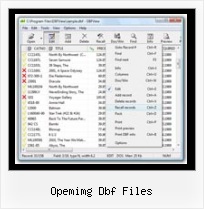 Dbf Viewer Filter opemimg dbf files