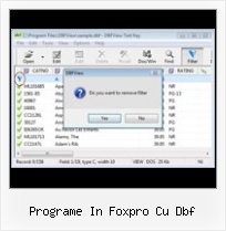 Delete Dbf File programe in foxpro cu dbf