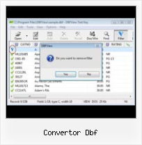 Delet Record From Dbf File convertor dbf