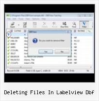 Problem Opening Dbf File deleting files in labelview dbf