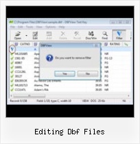 Dbf File Conversion editing dbf files