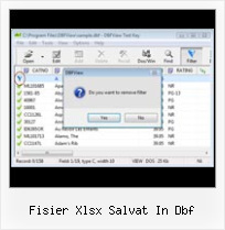 Zap Dbf Table fisier xlsx salvat in dbf