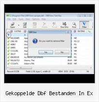 Convertidor De Xls A Dbf gekoppelde dbf bestanden in ex