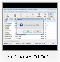 Dbf Format Software how to convert txt to dbf