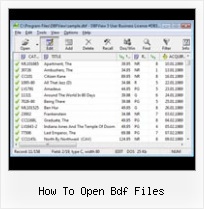 Dbf To Flat File how to open bdf files