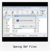 Dbf Command With Lanvage opeing dbf files