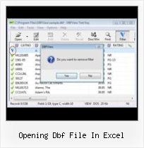Convert Dbf Tables opening dbf file in excel