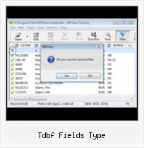 Conversor Xls Para Dbf tdbf fields type