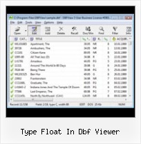 Convert Access To Dbase type float in dbf viewer