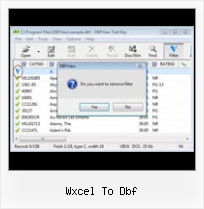How To Open The Dbf File wxcel to dbf