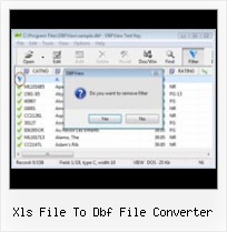 Open Edit Dbf Files xls file to dbf file converter