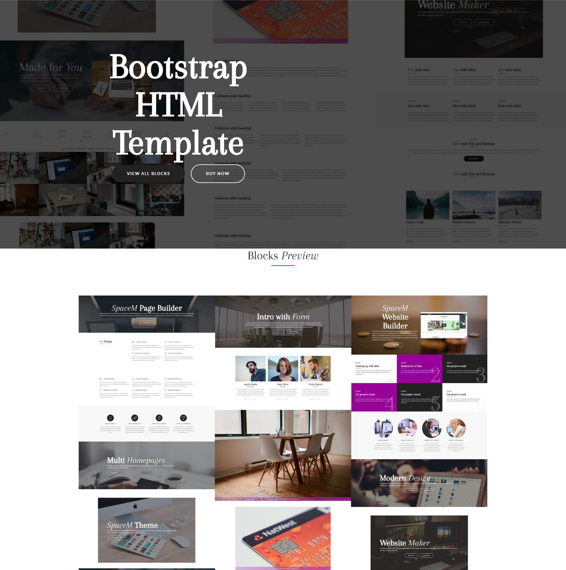 CSS3 Bootstrap SpaceM Themes