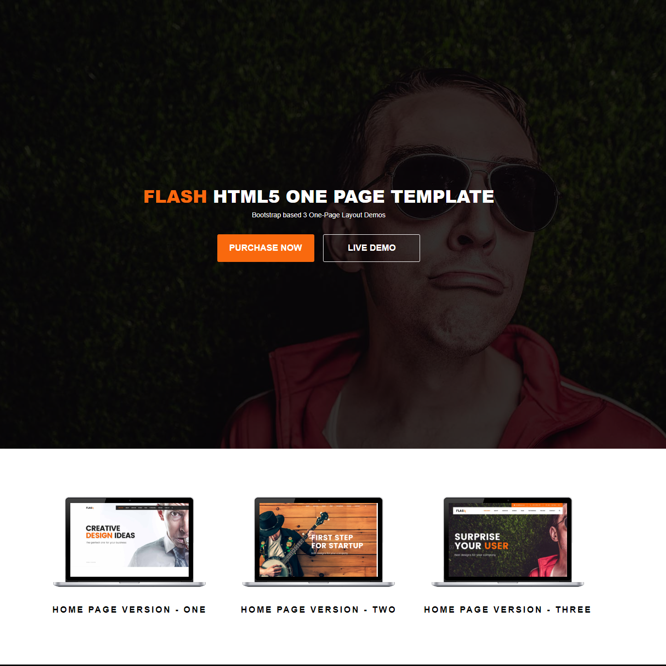 HTML5 Bootstrap Flash Themes