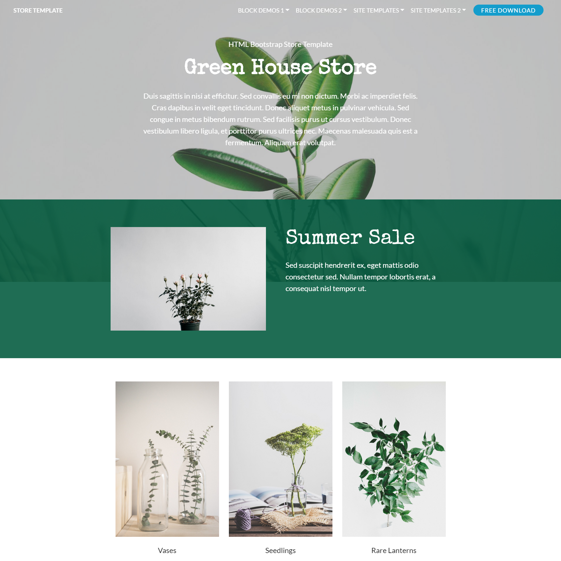 Responsive Bootstrap Store Themes